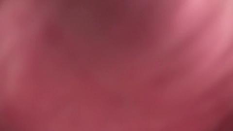 17583