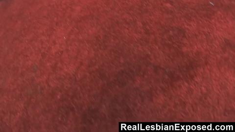 24492
